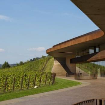 Antinori nel Chianti Classico (Marchesi Antinori)